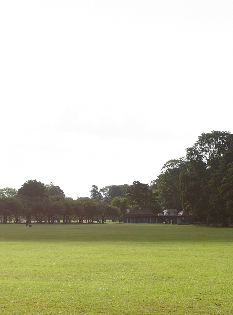 field with tress on the outside