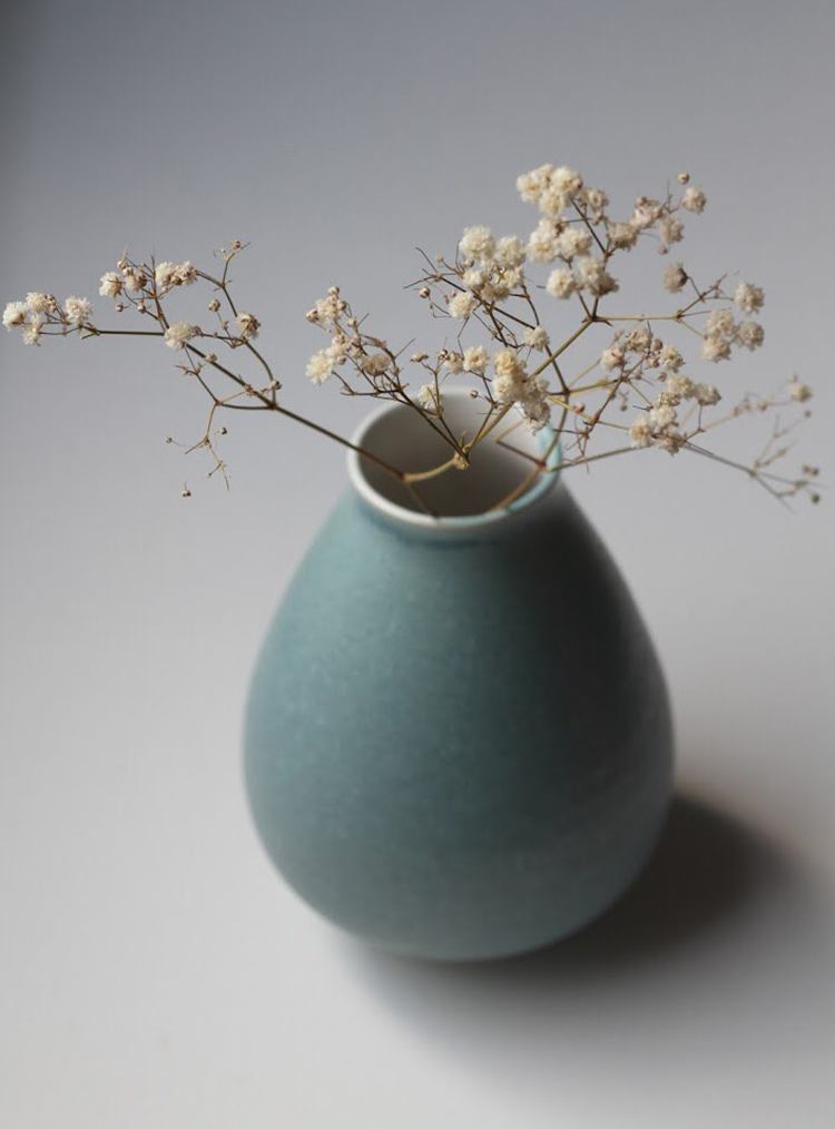 gypsophila flower in a small blue pot