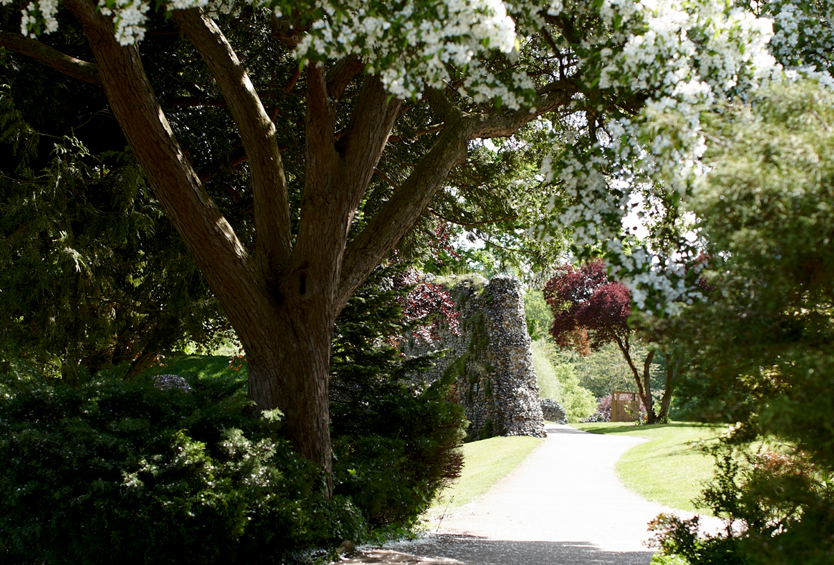 gardens with flowers on trees