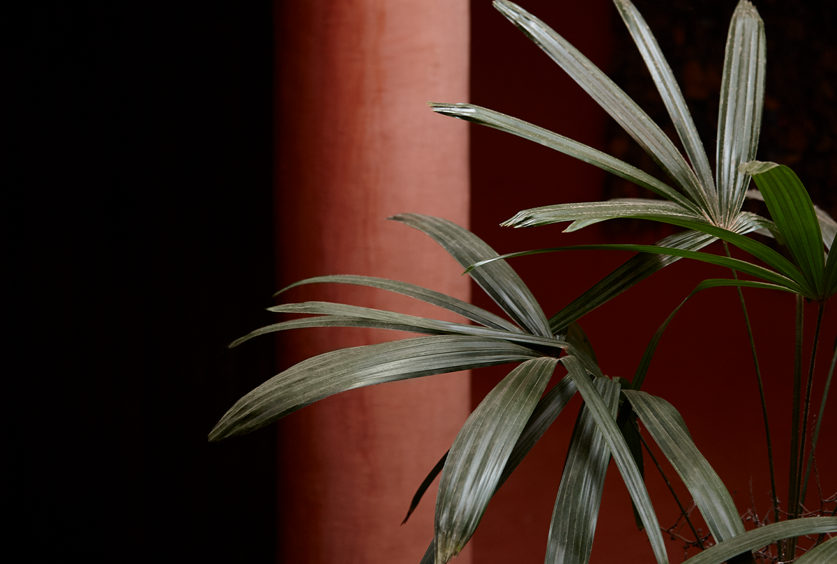 red pillar and a green plant