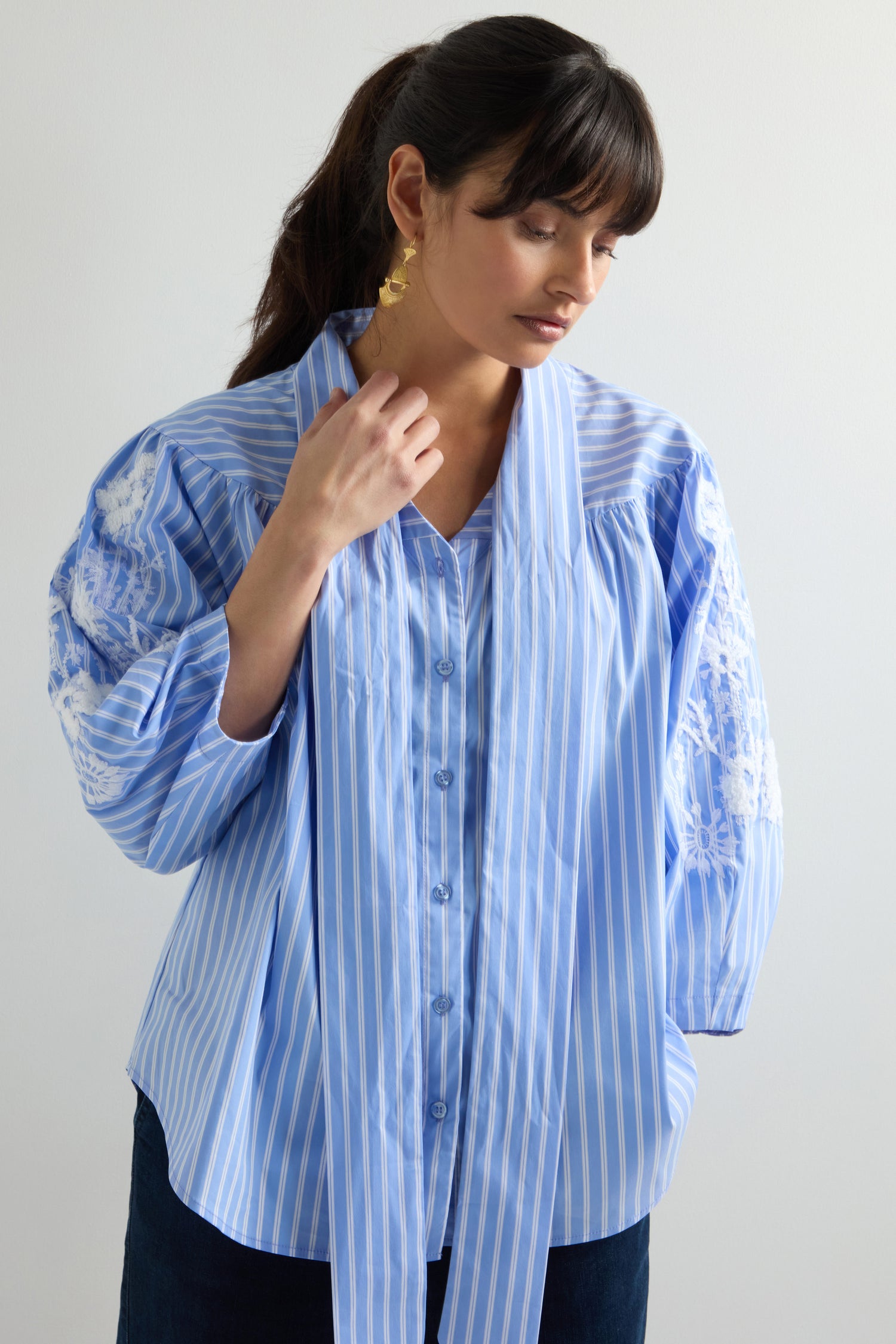 Embroidered Detail Stripe Shirt