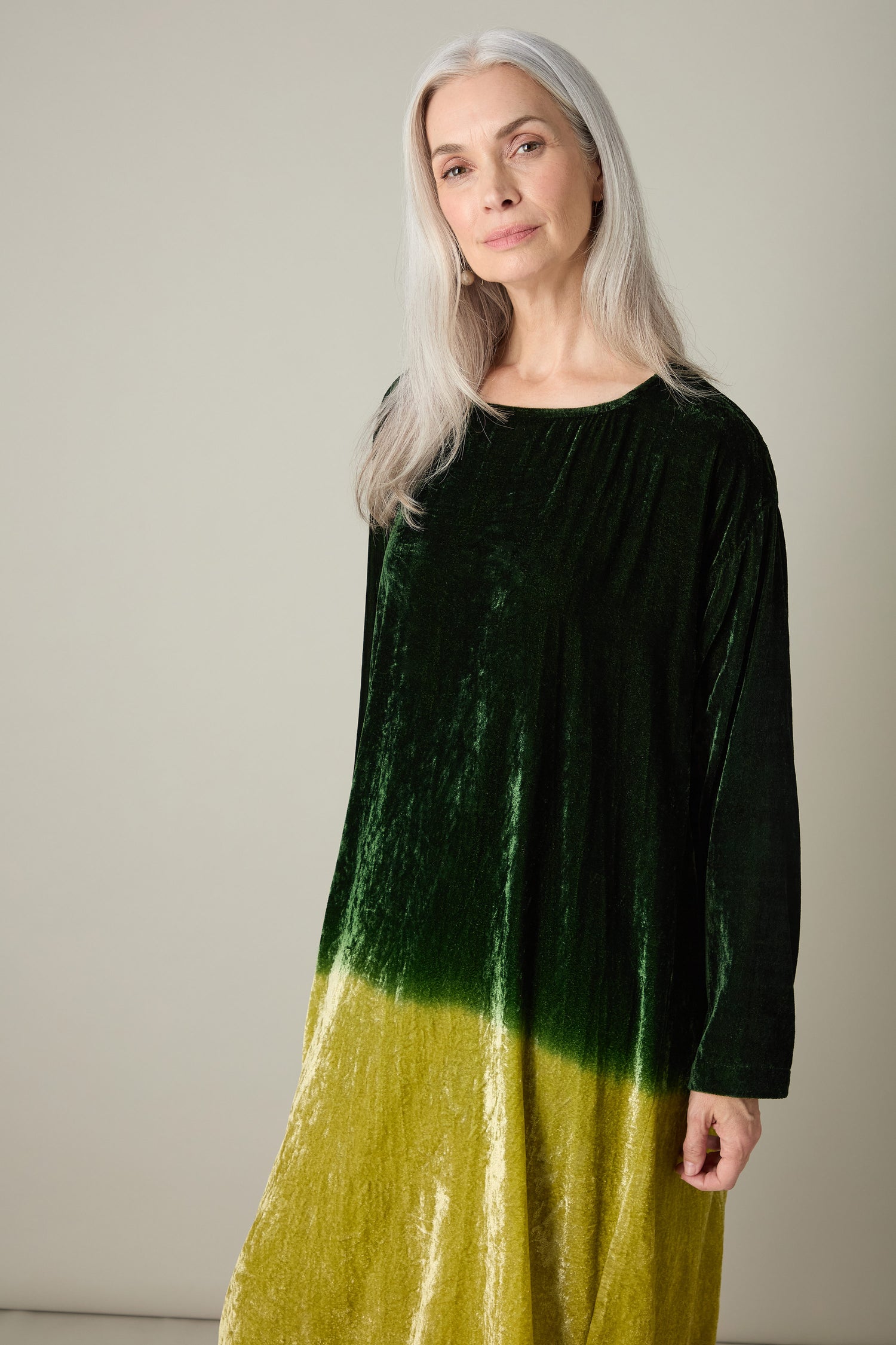 Dip Dye Silk Velvet Dress